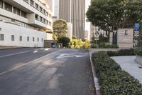 a street lined with bushes and parking meters near buildings on either side of the street