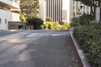 a street lined with bushes and parking meters near buildings on either side of the street