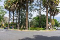 Los Angeles: Urban Landscape with Palm Trees and Clear Skies