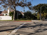 Los Angeles: A Urban Profile of Residential Streets