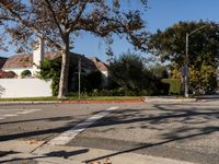 Los Angeles: A Urban Profile of Residential Streets