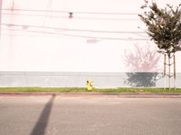 Los Angeles Urban Road: Clear Skies and Industrial Vibes