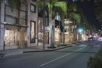 palm trees and store fronts line a city street at night time in florida, usa