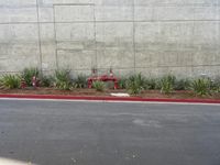 a red fire hydrant sitting by a wall next to a planter with a lot of small plants