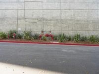 a red fire hydrant sitting by a wall next to a planter with a lot of small plants