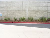 a red fire hydrant sitting by a wall next to a planter with a lot of small plants