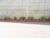 a red fire hydrant sitting by a wall next to a planter with a lot of small plants