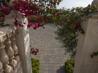 looking out into the back yard with a brick walkway through the door and bushbery