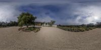 a panoramic shot of a wide angle of an area with bushes, plants, and sand