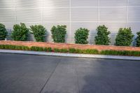 a row of different colored hedges next to some shrubbery near a wall of metal sheets