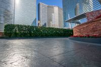 the street is paved with black stone and is surrounded by buildings with lots of trees