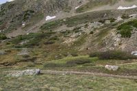 Loveland Pass, Colorado, USA: An Alpine Landscape