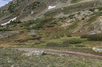 Loveland Pass, Colorado, USA: An Alpine Landscape