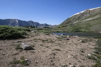 a large lake surrounded by rocky mountains with pine trees in the foreground and sparse vegetation around