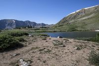 a large lake surrounded by rocky mountains with pine trees in the foreground and sparse vegetation around