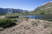 a large lake surrounded by rocky mountains with pine trees in the foreground and sparse vegetation around