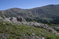 mountains in the background are covered in green grass and rocks with trees on them, and small trees growing out of them