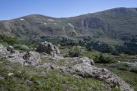 mountains in the background are covered in green grass and rocks with trees on them, and small trees growing out of them