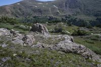 mountains in the background are covered in green grass and rocks with trees on them, and small trees growing out of them