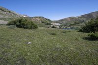 Loveland Pass: A Spectacular Mountain Range with Abundant Vegetation