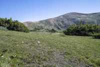 Loveland Pass: A Spectacular Mountain Range with Abundant Vegetation