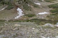 a small stream in a rocky valley surrounded by grass and rocks with snowy mountains in the background