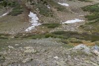 a small stream in a rocky valley surrounded by grass and rocks with snowy mountains in the background