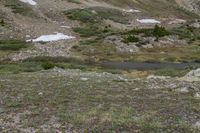 a bear walking on a mountain slope beside a small body of water and rocks in the foreground