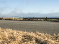 a person riding a skate board in the grass near the ocean or the beach in the background