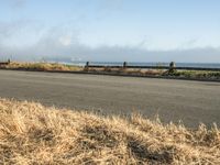 a person riding a skate board in the grass near the ocean or the beach in the background