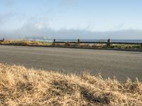 a person riding a skate board in the grass near the ocean or the beach in the background