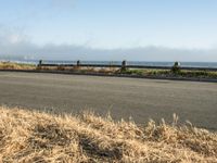 a person riding a skate board in the grass near the ocean or the beach in the background