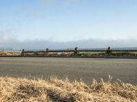 a person riding a skate board in the grass near the ocean or the beach in the background