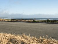 a person riding a skate board in the grass near the ocean or the beach in the background