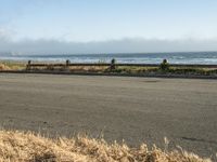 a person riding a skate board in the grass near the ocean or the beach in the background