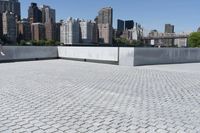 Low Rise Residential Condominiums in NYC