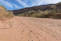 a dirt road with a trail surrounded by rocks and grass on the side of the road