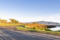 Low Tide in New Zealand: Coastal Water Views