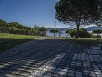 a walkway that is made of rocks next to a tree and the water with boats on it