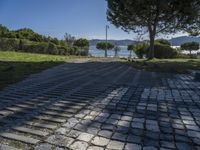 a walkway that is made of rocks next to a tree and the water with boats on it