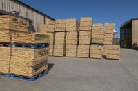 bundles of wood stacked on pallets in front of warehouse building - stock image /