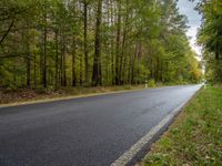 a winding asphalt road in front of the woods with trees on both sides of the road