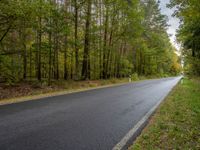 a winding asphalt road in front of the woods with trees on both sides of the road