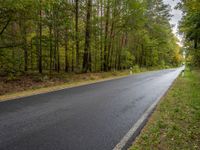 a winding asphalt road in front of the woods with trees on both sides of the road