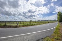 the highway winds up in the mountains between fields and vineyards fields in the distance with a blue sky and clouds above