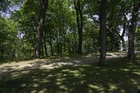 the sunlight is shining through the trees at a park area with benches on both sides of the field and the trees in the background