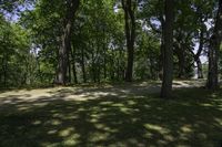 the sunlight is shining through the trees at a park area with benches on both sides of the field and the trees in the background