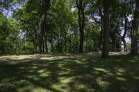 the sunlight is shining through the trees at a park area with benches on both sides of the field and the trees in the background