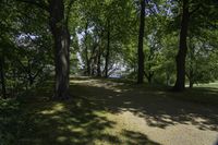 Lush Forest in Hamilton, Ontario