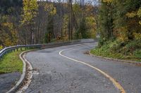 Lush Forest Road in Autumn: A Scenic View